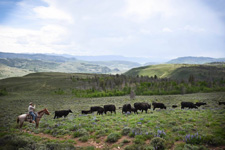 USA-Colorado-Drowsy Water Ranch